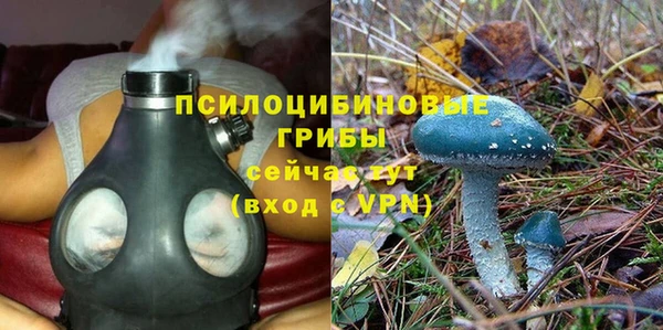 МДПВ Абдулино