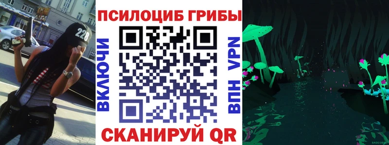 Галлюциногенные грибы Psilocybine cubensis  магазин продажи   Правдинск 